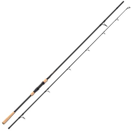 Carp Rod Anaconda Bank Stick