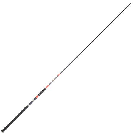Canne Silure Daiwa Megaforce Big Fish