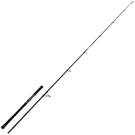 Canne Silure Zeck Evo Cat