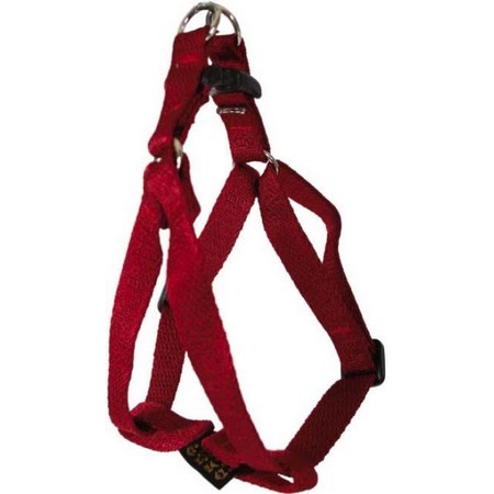 Harness Harness Arka Haok Rubis