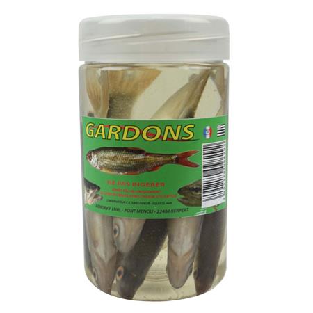 Sticklebacks Armorvif