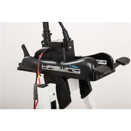 Electric Engine Haswing Cayman B 80 Lbs 7 Electric Engine Haswing Cayman B 80 Lbs