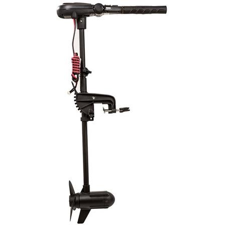 Electric Engine Haswing Protruar 1.0 65Lbs