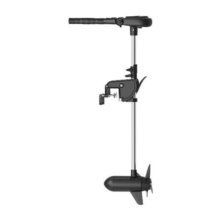 Electric Engine Haswing Protruar 3.0 110 Lbs 12V