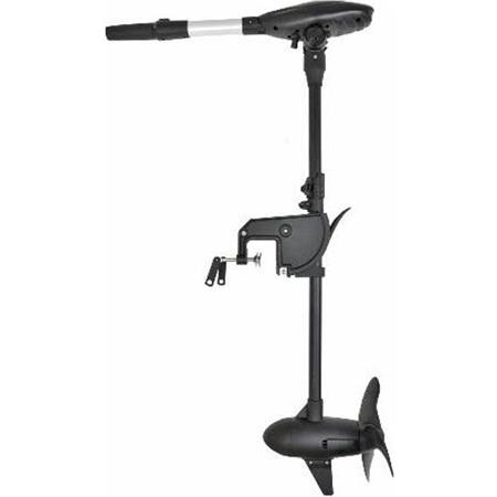 Electric Engine Haswing Protruar-G 3.0 110Lbs