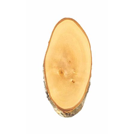 Deer Badge Eurohunt Bouleau